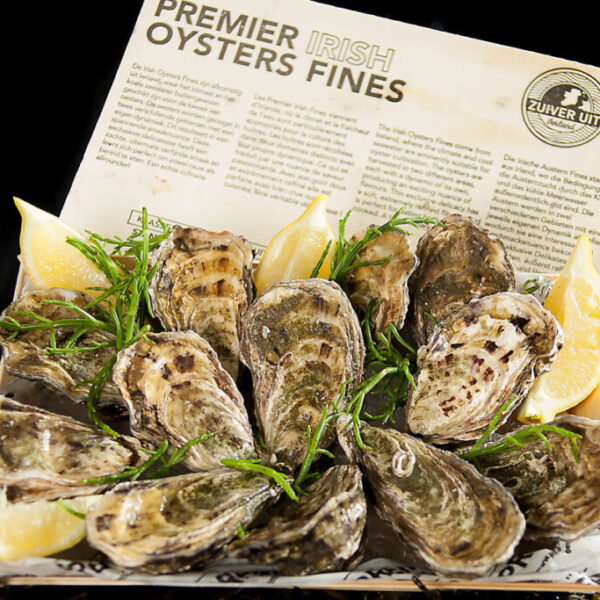 Oesters Fines per 6/12