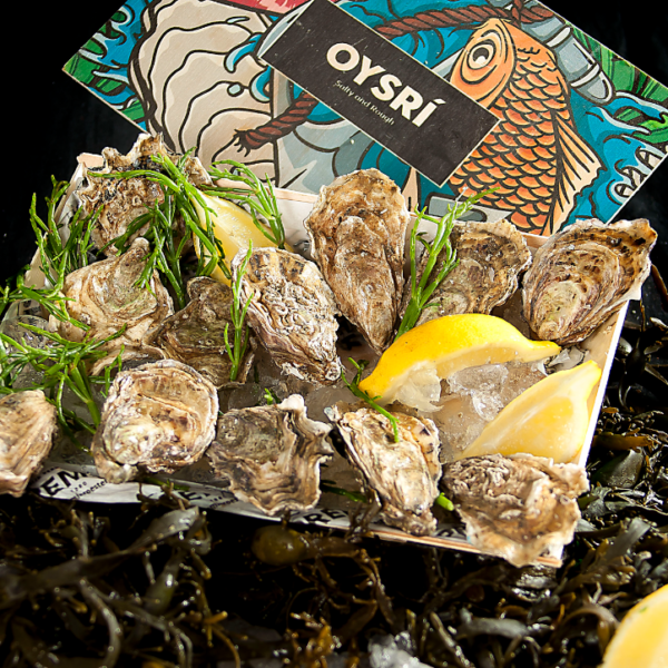 Oesters Oysri per 6/12